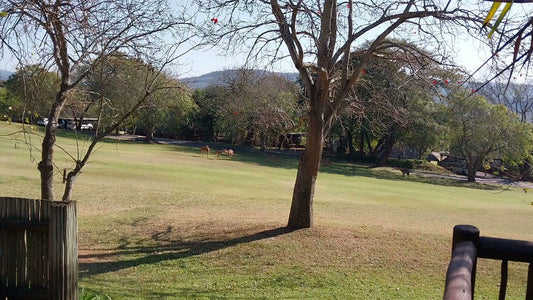 Ball Game, Sport, Golfing, Kruger Park Lodge, Portia Shabangu Dr, Hazyview, 1242