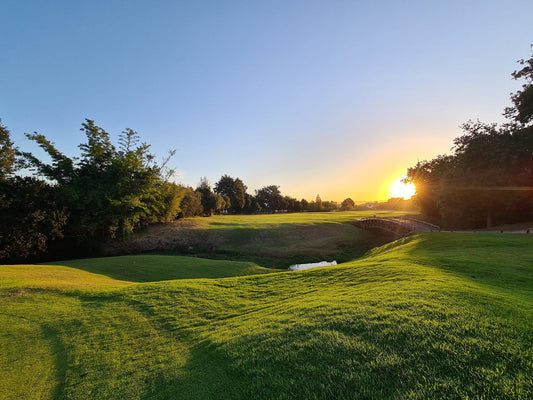 Complementary Colors, Ball Game, Sport, Golfing, De Zalze Golf Club, R44, De Zalze Golf Estate, Stellenbosch, 7600