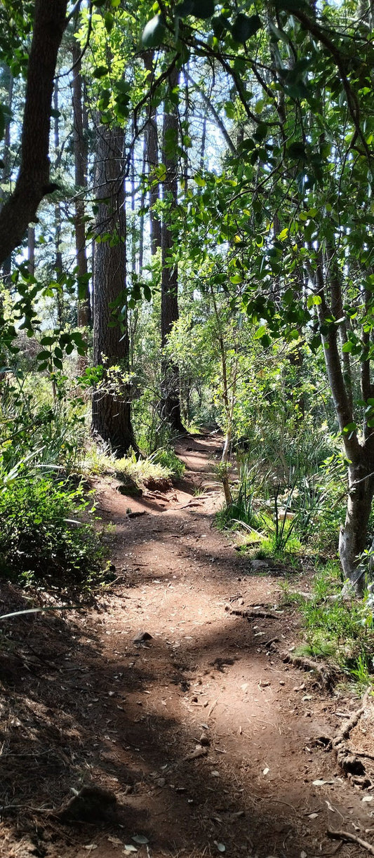Woodcutters Trail