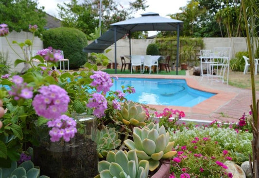 Agathos Bandb Paarl Western Cape South Africa Plant, Nature, Garden, Swimming Pool