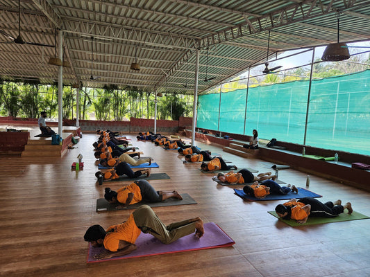 Person, Sport, Yoga, Complementary Colors Bodhi School Of Yoga Yoga Retreat Center Canacona Goa Canacona Goa India