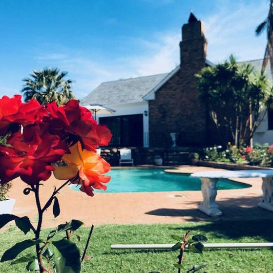 Brandwag Tulbagh Western Cape South Africa Complementary Colors, House, Building, Architecture, Plant, Nature, Garden, Swimming Pool