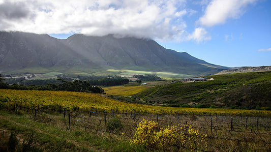 Clouds End Farm Hermanus Western Cape South Africa Complementary Colors, Mountain, Nature, Highland