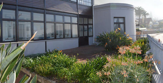 Kimberley Cottage Kalk Bay Cape Town Western Cape South Africa House, Building, Architecture, Plant, Nature