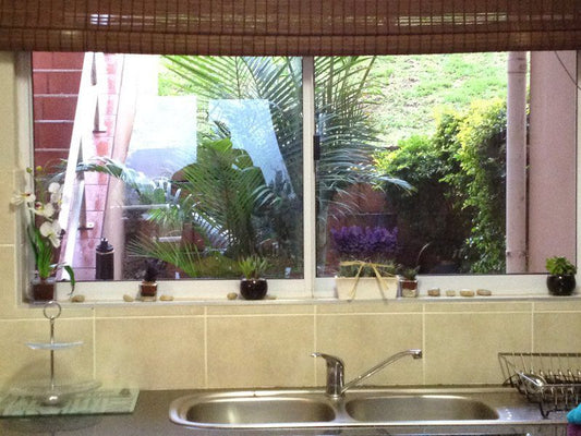 Kingshaka Desainager Durban Kwazulu Natal South Africa Bathroom, Garden, Nature, Plant