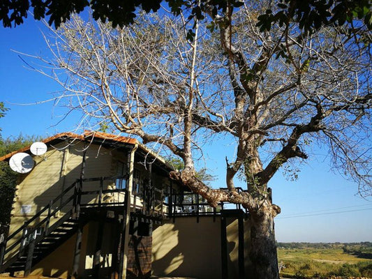 Kruger View Tree House Marloth Park Mpumalanga South Africa House, Building, Architecture, Tree, Plant, Nature, Wood