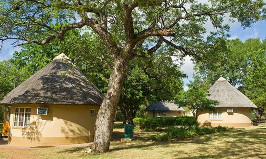 Malelane Rest Camp Kruger National Park Sanparks South Kruger Park Mpumalanga South Africa Tree, Plant, Nature, Wood