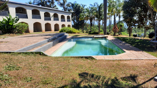 Mashutti Country Lodge Tzaneen Limpopo Province South Africa Palm Tree, Plant, Nature, Wood, Garden, Swimming Pool