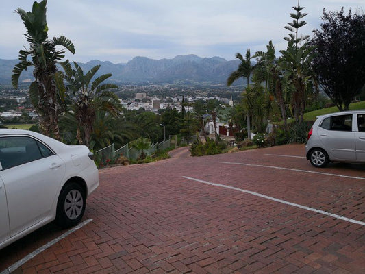 Perle Du Cap Guest House Paarl Western Cape South Africa House, Building, Architecture, Palm Tree, Plant, Nature, Wood, Car, Vehicle