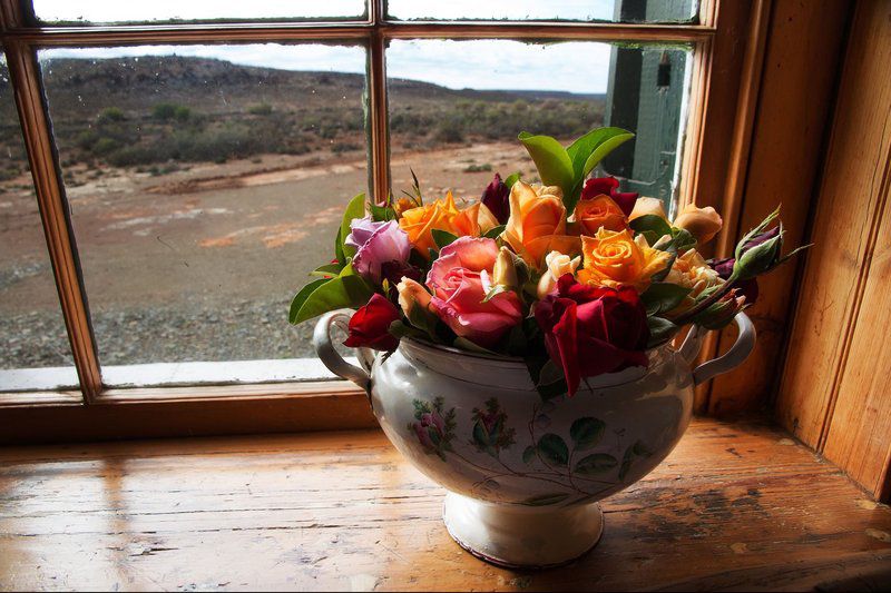 Stuurmansfontein Corbelled House Carnarvon Northern Cape South Africa Bouquet Of Flowers, Flower, Plant, Nature, Cactus