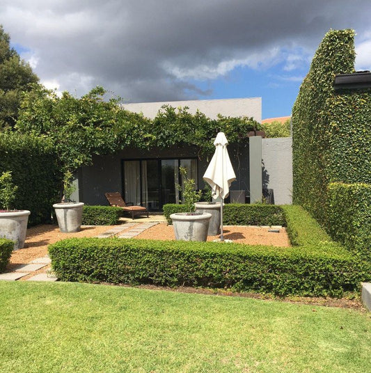 The Cottage Bel Aire Somerset West Western Cape South Africa House, Building, Architecture, Plant, Nature, Garden