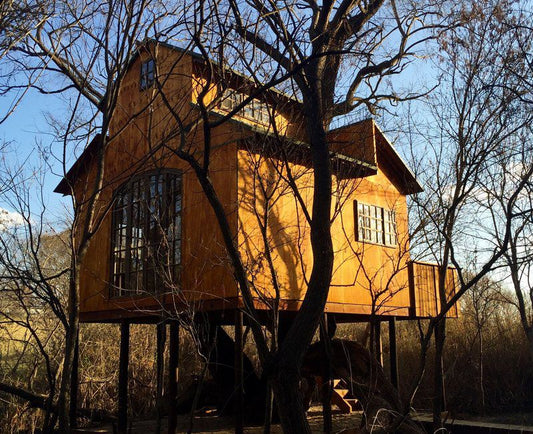Willow Nest Treehouse Riversands Dainfern Johannesburg Gauteng South Africa Building, Architecture